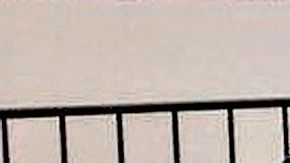 Tragedia en la famiilia LeBaron.