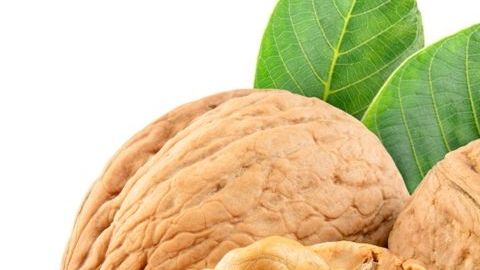 Las nueces son un grandioso aliado para el funcionamiento cerebral ayudan al funcionamiento cerebral y nos llenan de energía de calidad.