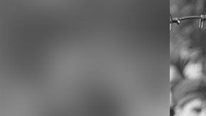 La tienda se disculpó y dio a entender que no había notado que el conjunto se parecía a estos uniformes.