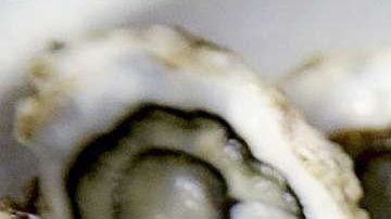 Si te gustan las ostras, es mejor no comerlas crudas.