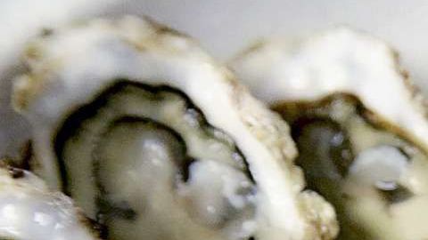 Si te gustan las ostras, es mejor no comerlas crudas.