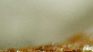 Pan de elote-JProgr-Flickr