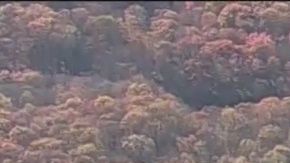 ¿Dónde está Stephanie Parze?