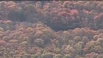 ¿Dónde está Stephanie Parze?