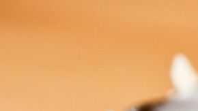 pastel zanahoria-pxhere