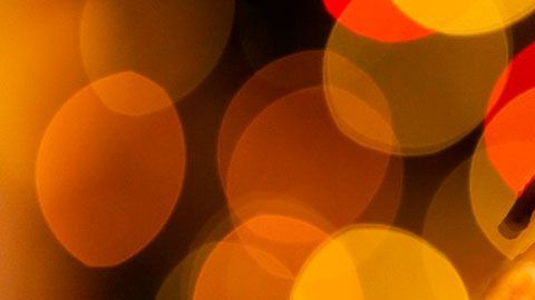 Este Día de Gracias podrías tener un buen pavo sin gastar nada en él.