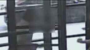 La pelea captada por cámaras de seguridad