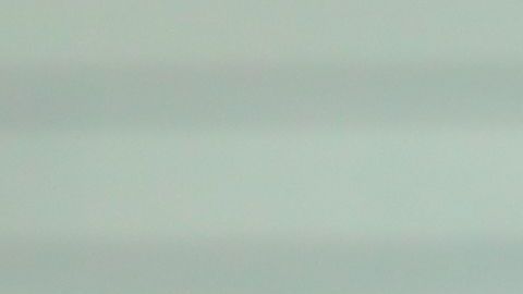 Miguel Herrera asegura que tiene seis meses más de contrato y que se encuentra tranquilo.