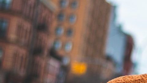 Pizza-malcolm garret-pexels