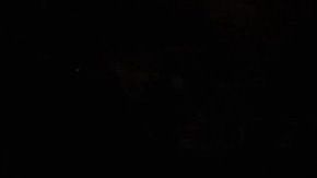 Imagen de una pizza completa.