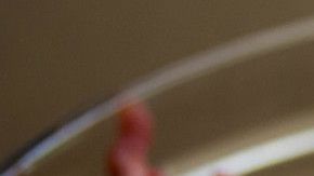 plant-fruit-berry-bowl-dish-meal-1064922-pxhere.com