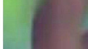 Testigos grabaron la escena el pasado 13 de octubre.