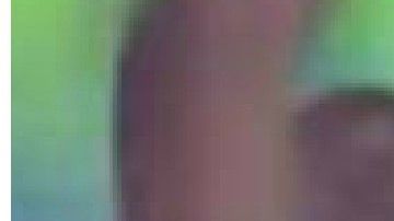 Testigos grabaron la escena el pasado 13 de octubre.