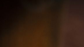 pollo-ALFONSO CHARLES-pixabay