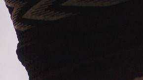 El estilo de vida de la madre influye en el desarrollo del niño.