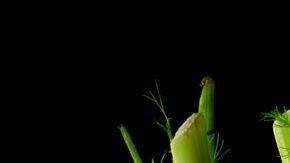 Integrar puerro en tu alimentación es un efectivo aliado para cuidar la salud cardiovascular y mejorar la circulación sanguínea.