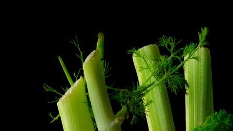 Integrar puerro en tu alimentación es un efectivo aliado para cuidar la salud cardiovascular y mejorar la circulación sanguínea.