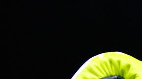 Floyd Mayweather anunció su regreso a los encordados para 2020 así que ya se especula quién será el bueno para enfrentarlo.