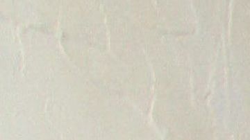 Raúl y Armando Araiza.