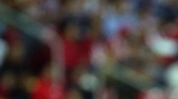 Luis Fernando Tena quiere seguir con Chivas.