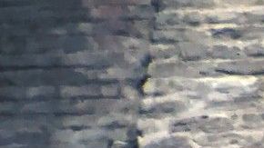 En estas ciudades no debes temer por rentar una casa.