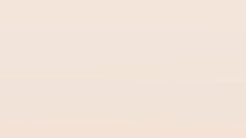 Este modelo volaría de nuevo con American Airlines.