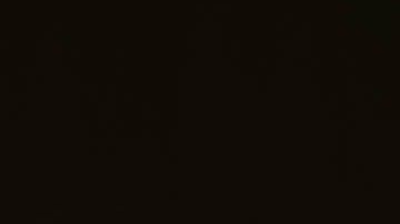 Crédito: Valeria Boltneva/Pexels