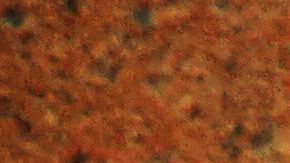 Unas cuentas cuyos rendimientos pueden ser tax free./Shutterstock