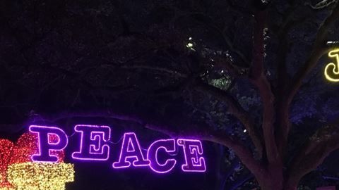 Las lucecitas están prendidas para cautivar a la gente durante la época navideña.