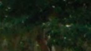 La escuela donde trabajaba Yessenia Gallardo.