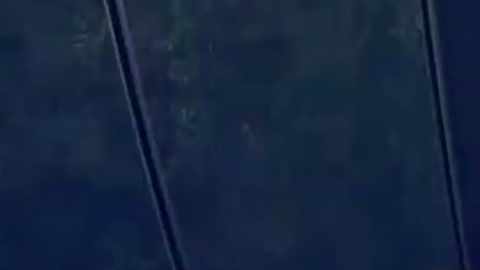 La policía publicó el video y pidió colaboración ciudadano para dar con el agresor.