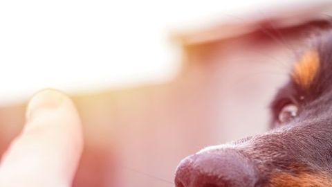 Este tipo de situaciones ocurre una entre 1.5 millones.