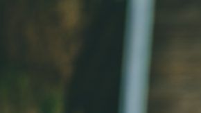 shutterstock_1110566690