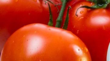 shutterstock_120879307