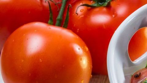 shutterstock_120879307