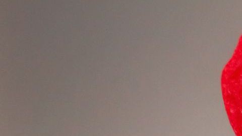 shutterstock_122714101