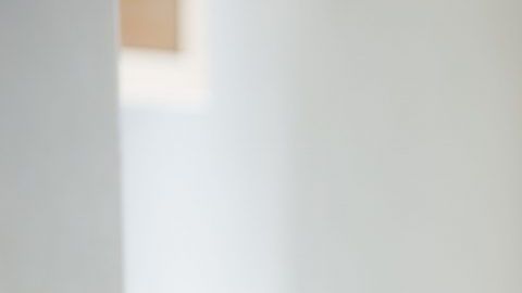 shutterstock_137331716