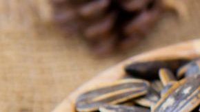 shutterstock_1398403892