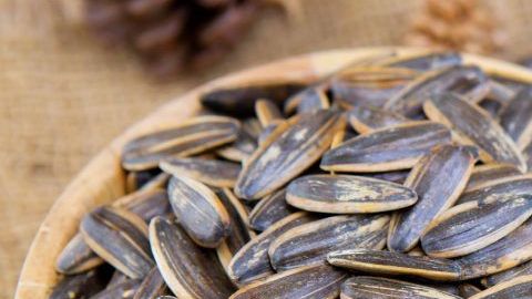 shutterstock_1398403892