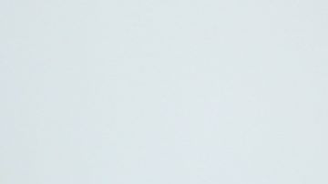 shutterstock_1462211576