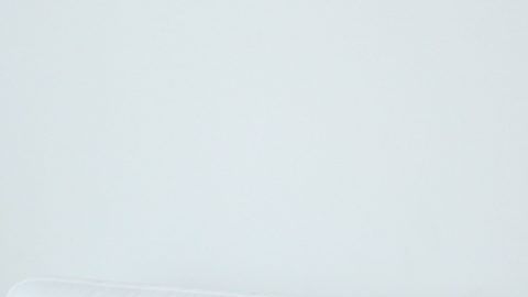 shutterstock_1462211576