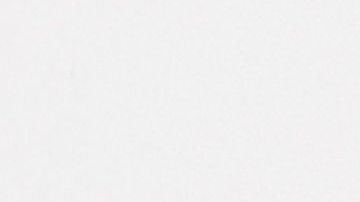 shutterstock_1466324729