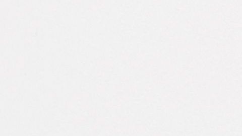 shutterstock_1466324729