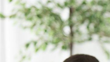 shutterstock_1538750444