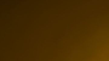 No siempre contamos con el tiempo de preparar nuestros alimentos, para los días en que la prisa te gane ni te quedes sin probar estás opciones de platillos veganos que ofrecen las principales cadenas de fast food