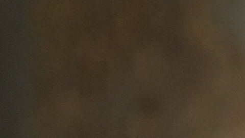 shutterstock_226567432