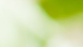 shutterstock_306118787