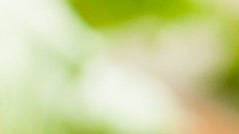 shutterstock_306118787