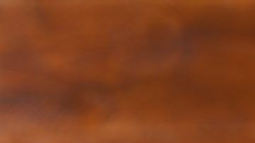 shutterstock_338815997