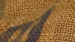 shutterstock_420478573